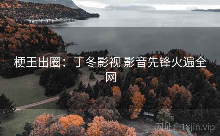 梗王出圈:丁冬影视 影音先锋火遍全网