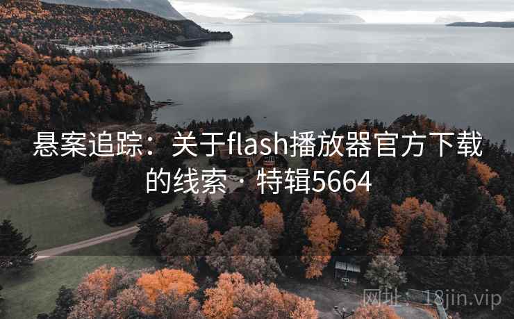 悬案追踪：关于flash播放器官方下载的线索 · 特辑5664