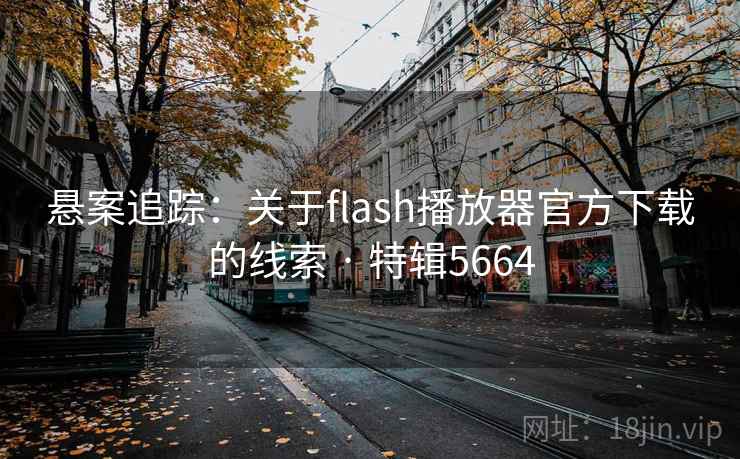 悬案追踪：关于flash播放器官方下载的线索 · 特辑5664