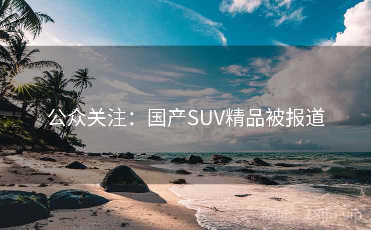 公众关注:国产SUV精品被报道 第2张 公众关注:国产SUV精品被报道 第2张